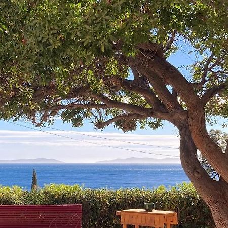 L'Arbousier Bed & Breakfast Le Le Rayol-Canadel-sur-Mer Dış mekan fotoğraf
