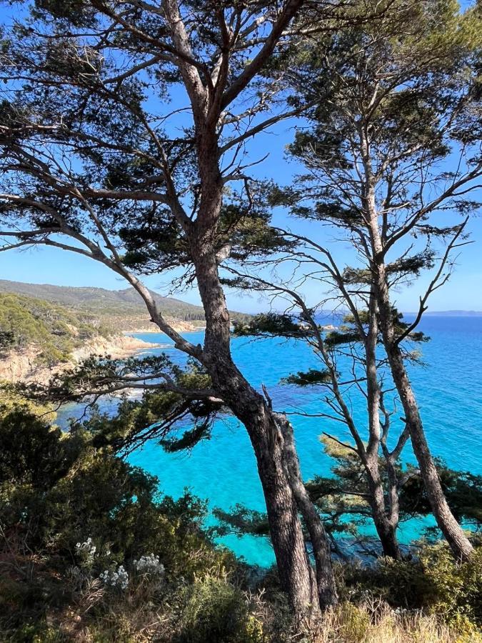 L'Arbousier Bed & Breakfast Le Le Rayol-Canadel-sur-Mer Dış mekan fotoğraf
