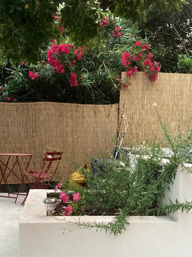 L'Arbousier Bed & Breakfast Le Le Rayol-Canadel-sur-Mer Dış mekan fotoğraf