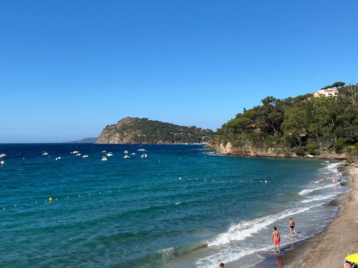 L'Arbousier Bed & Breakfast Le Le Rayol-Canadel-sur-Mer Dış mekan fotoğraf